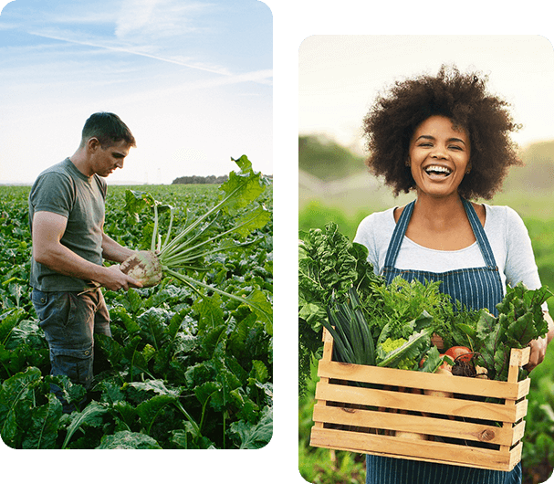 About Organic